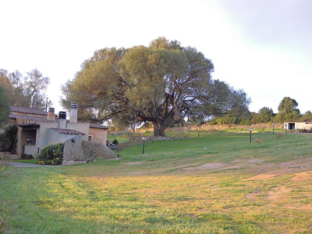 Отель Agriturismo Candela Арцакена Экстерьер фото